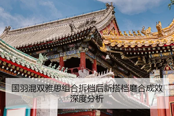 国羽混双雅思组合拆档后新搭档磨合成效深度分析
