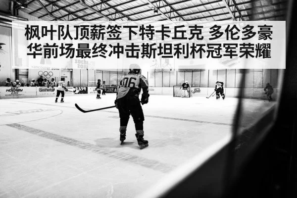 枫叶队顶薪签下特卡丘克 多伦多豪华前场最终冲击斯坦利杯冠军荣耀